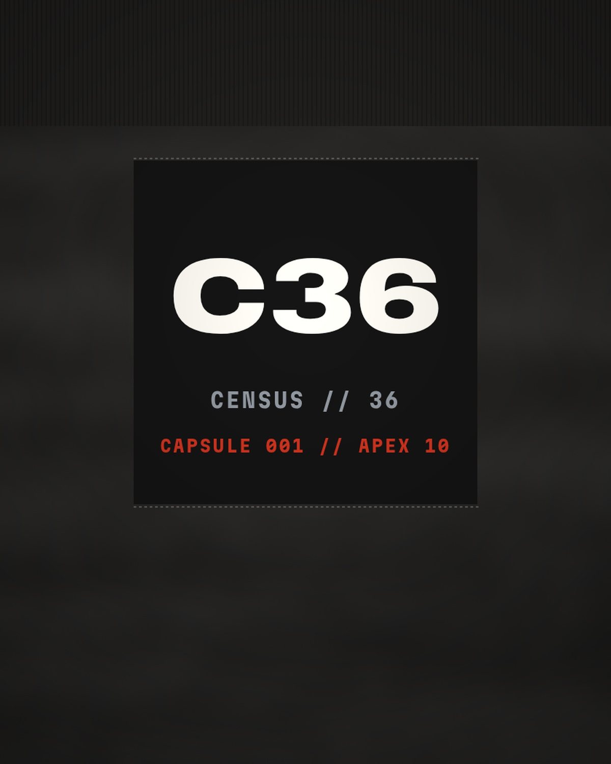 PLACEHOLDER render — 4×4 cm sewn neck label